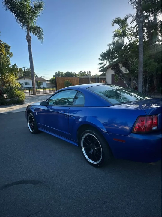 2003 Ford SN95 Mustang - Image 10 of 16