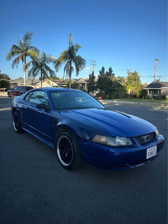 2003 Ford SN95 Mustang - Image 5 of 16