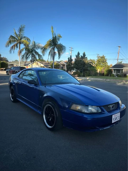 2003 Ford SN95 Mustang - Image 2 of 16
