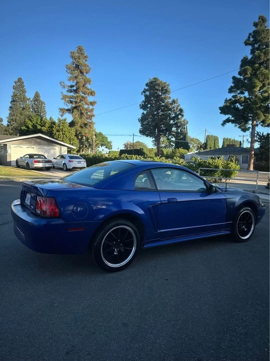 2003 Ford SN95 Mustang - Image 8 of 16