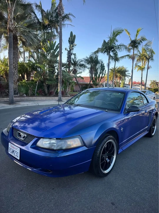 2003 Ford SN95 Mustang - Image 14 of 16