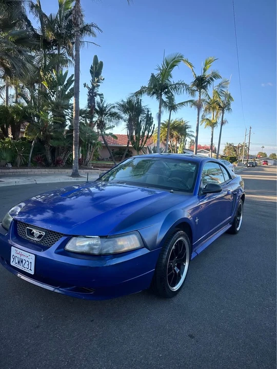2003 Ford SN95 Mustang - Image 4 of 16