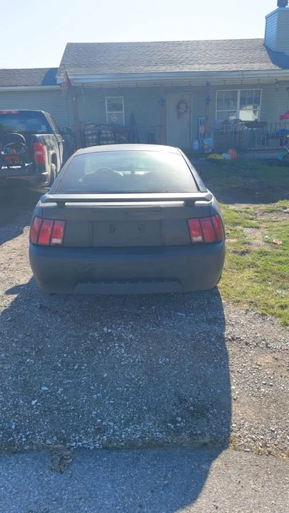2003 Ford SN95 Mustang - Image 3 of 7