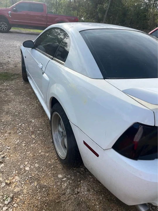 2003 Ford SN95 Mustang - Image 8 of 9