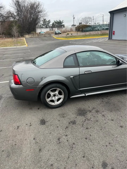 2003 Ford SN95 Mustang - Image 5 of 13