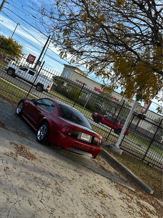 2003 Ford SN95 Mustang - Image 2 of 15