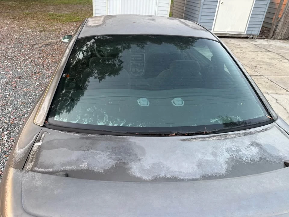 2003 Ford SN95 Mustang - Image 2 of 8