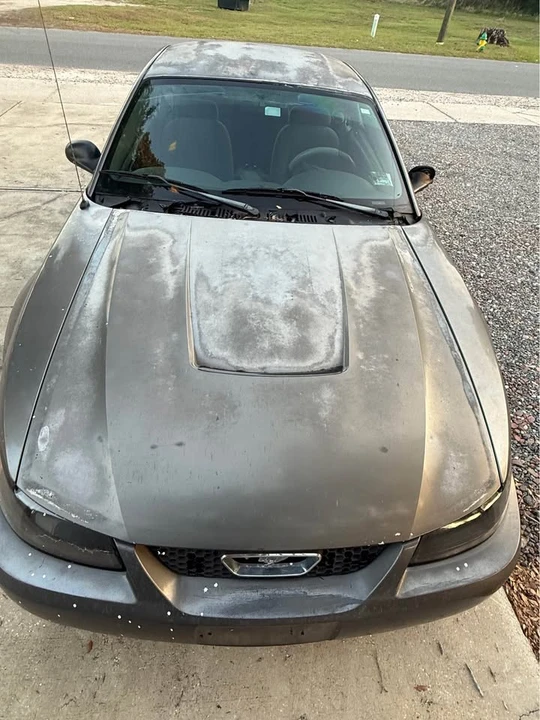 2003 Ford SN95 Mustang - Image 6 of 8