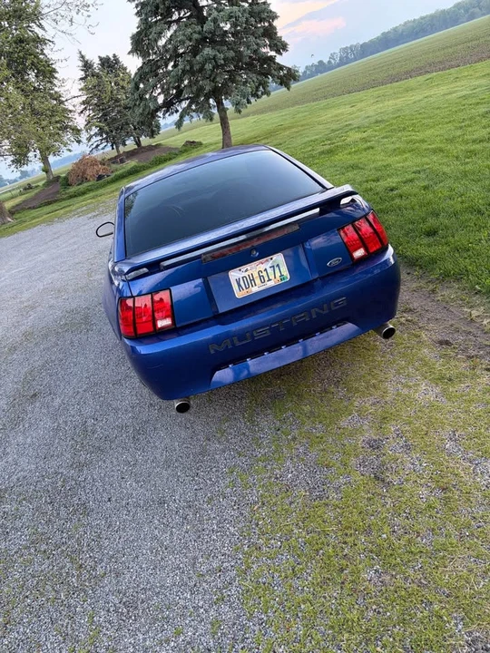 2003 Ford SN95 Mustang - Image 4 of 5