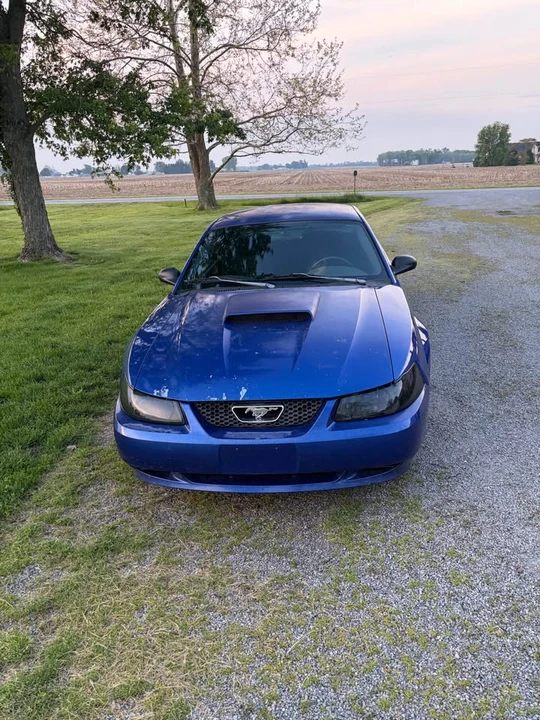 2003 Ford SN95 Mustang - Image 2 of 5