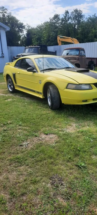 2003 Ford SN95 Mustang - Image 2 of 9