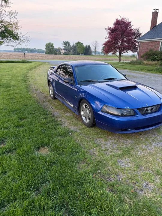 2003 Ford SN95 Mustang - Image 3 of 5
