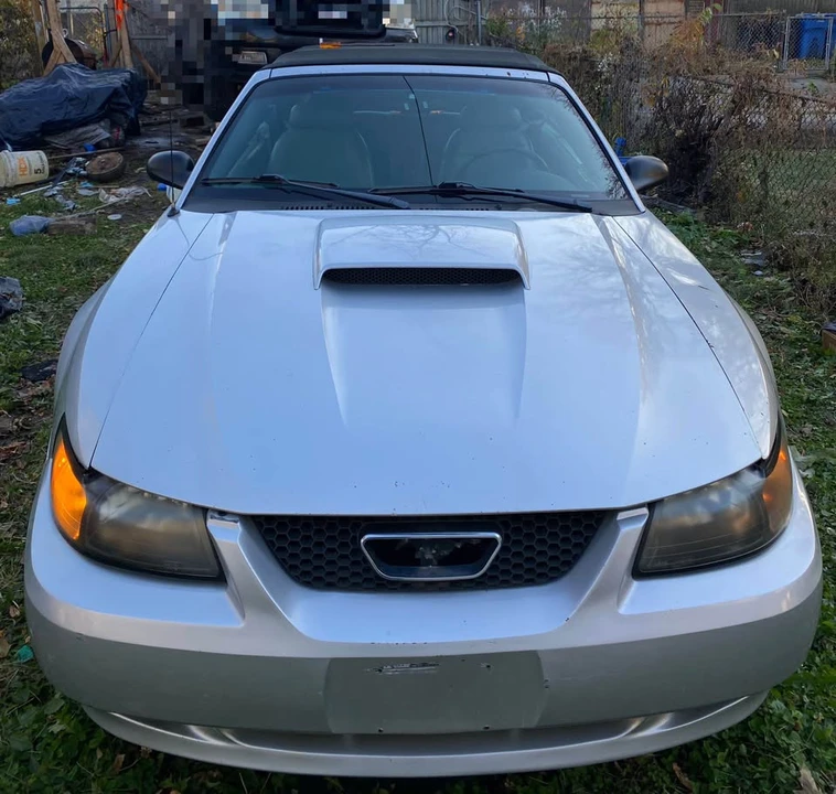 2003 Ford SN95 Mustang - Image 2 of 5