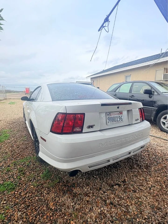 2003 Ford SN95 Mustang - Image 5 of 9