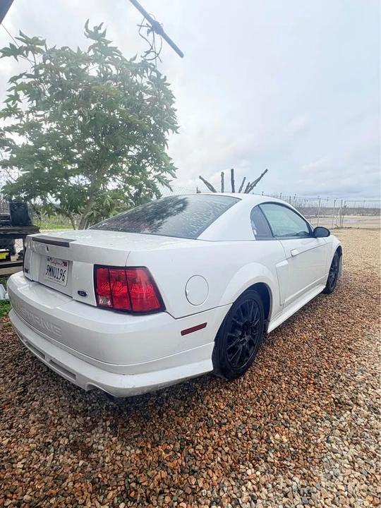 2003 Ford SN95 Mustang - Image 3 of 9