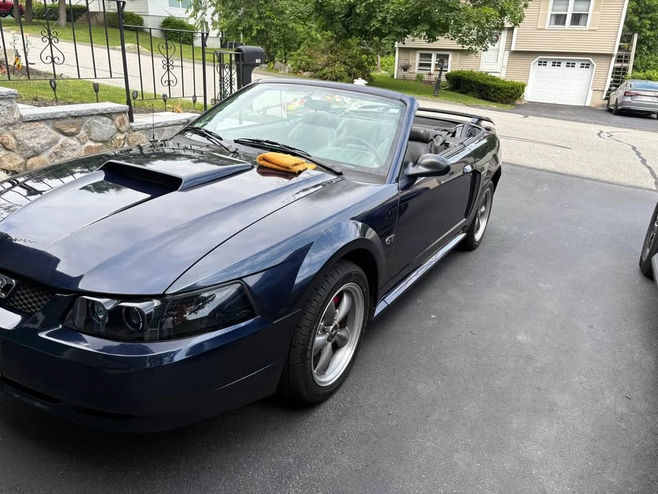 2003 Ford SN95 Mustang - Image 3 of 8