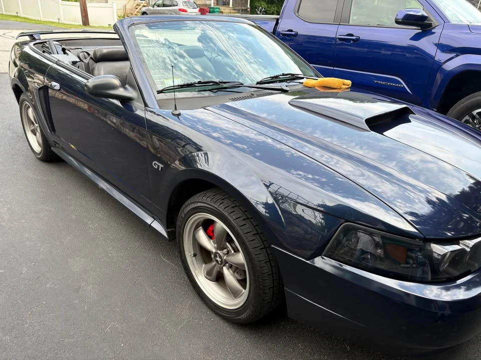 2003 Ford SN95 Mustang - Image 2 of 8