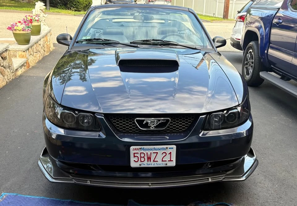2003 Ford SN95 Mustang - Image 6 of 8