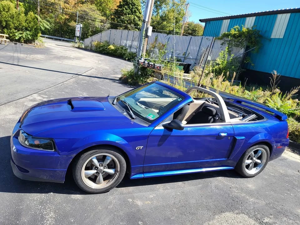 2003 Ford SN95 Mustang - Image 7 of 10