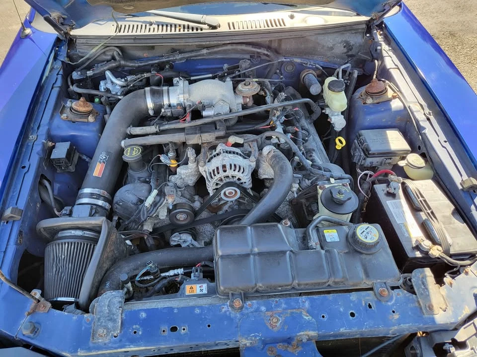 2003 Ford SN95 Mustang - Image 10 of 10