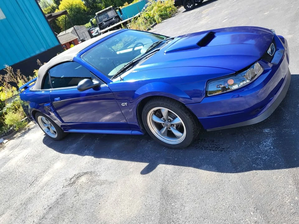 2003 Ford SN95 Mustang - Image 2 of 10