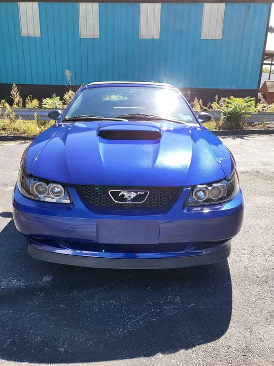 2003 Ford SN95 Mustang - Image 3 of 10