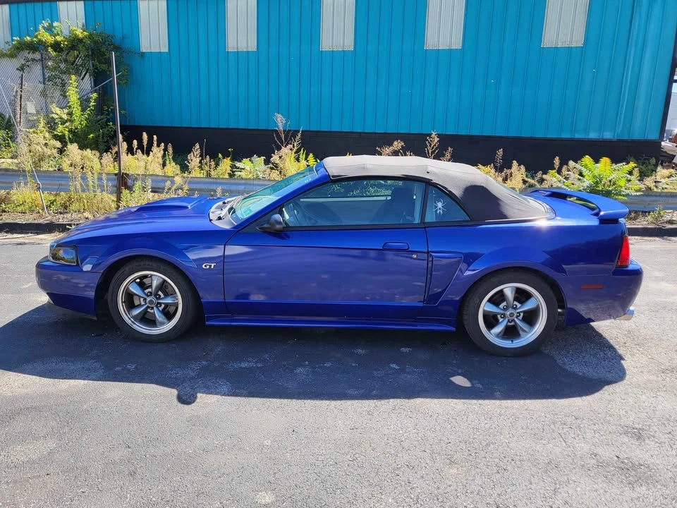 2003 Ford SN95 Mustang - Image 4 of 10