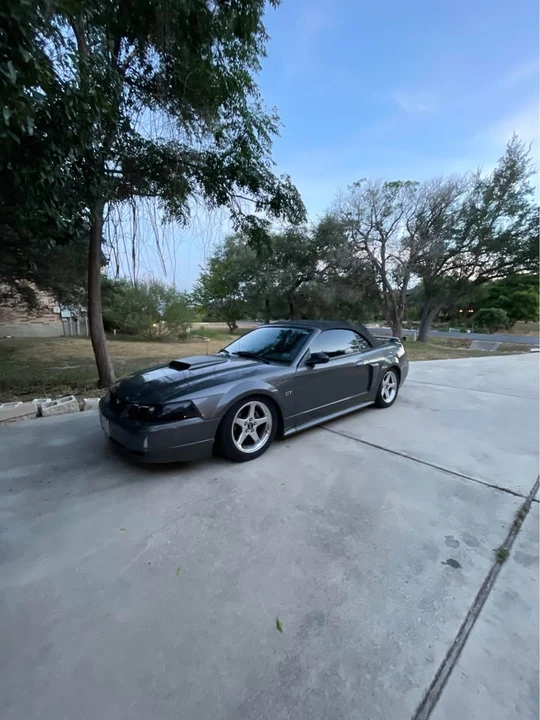2003 Ford SN95 Mustang - Image 2 of 10