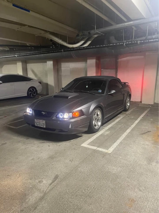 2003 Ford SN95 Mustang - Image 5 of 10
