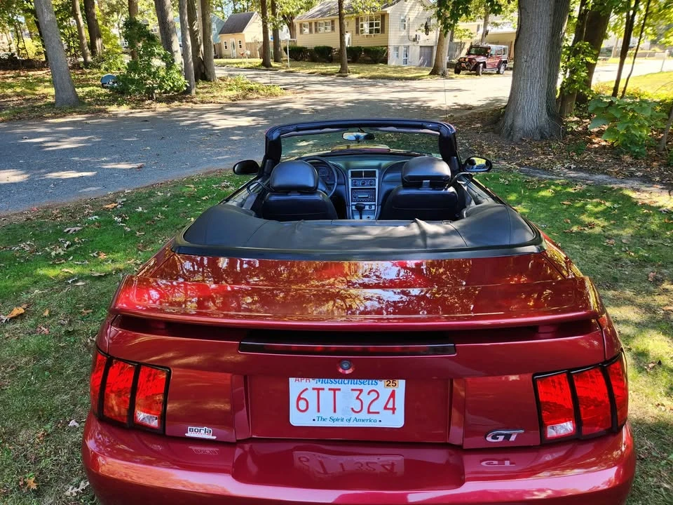 2003 Ford SN95 Mustang - Image 12 of 20
