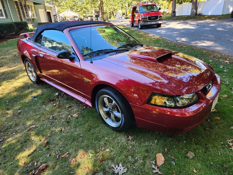 2003 Ford SN95 Mustang - Image 6 of 20