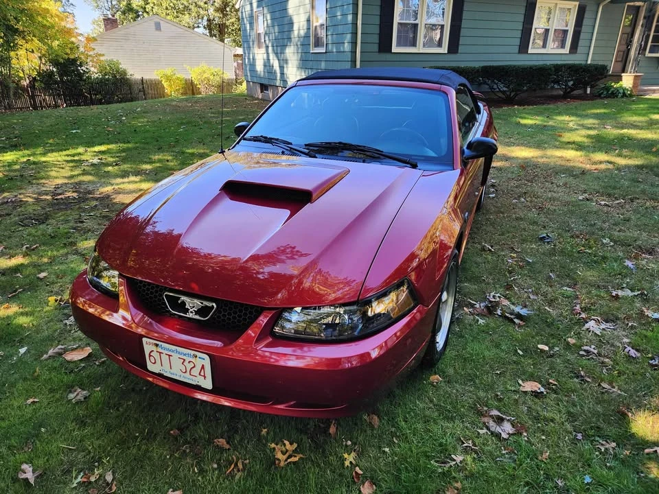 2003 Ford SN95 Mustang - Image 7 of 20