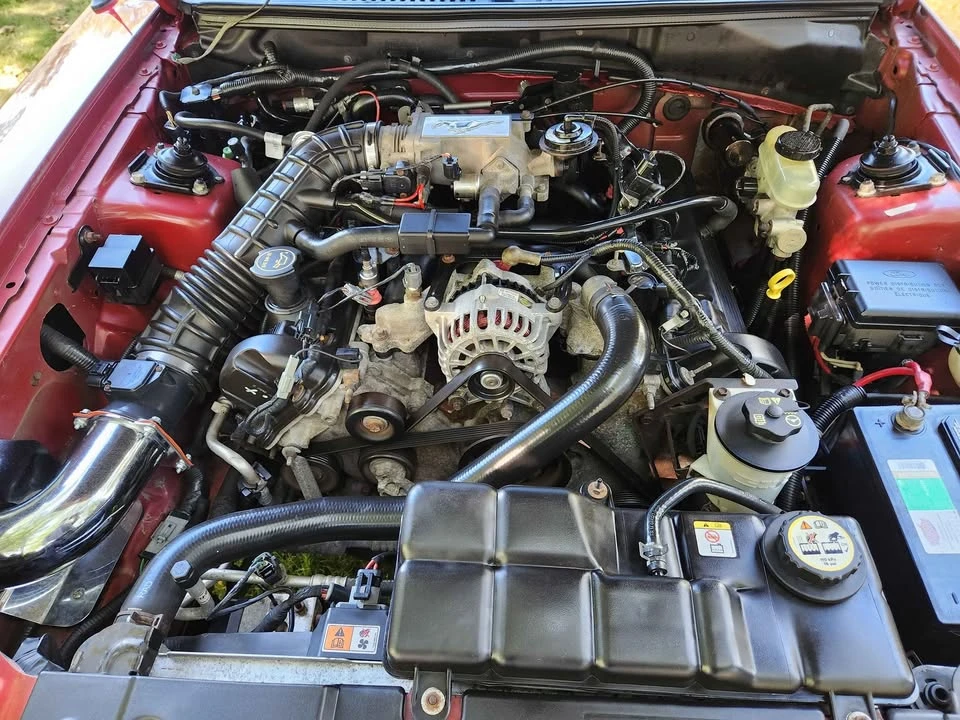 2003 Ford SN95 Mustang - Image 16 of 20