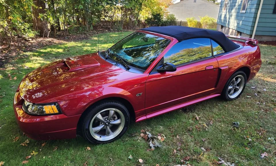 2003 Ford SN95 Mustang - Image 2 of 20