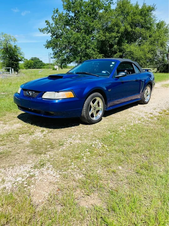 2003 Ford SN95 Mustang - Image 5 of 11