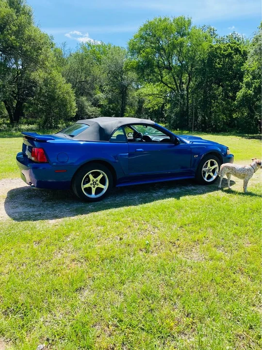 2003 Ford SN95 Mustang - Image 2 of 11