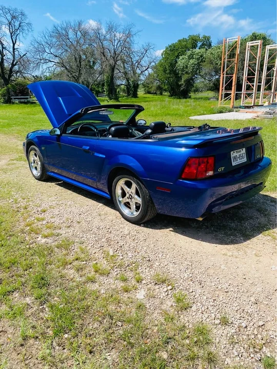 2003 Ford SN95 Mustang - Image 11 of 11