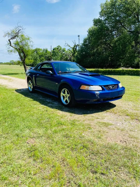 2003 Ford SN95 Mustang - Image 4 of 11