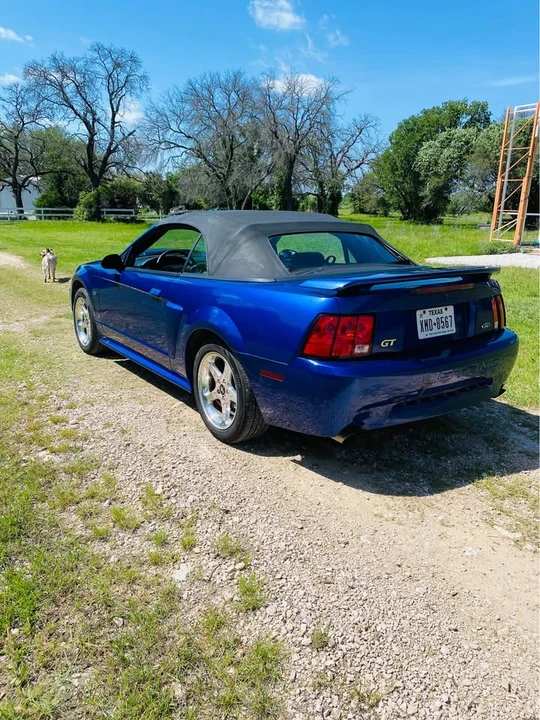 2003 Ford SN95 Mustang - Image 3 of 11