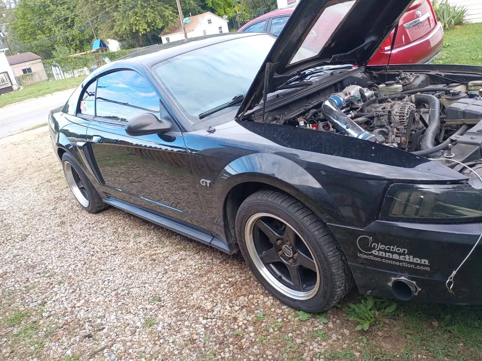 2003 Ford SN95 Mustang - Image 5 of 19
