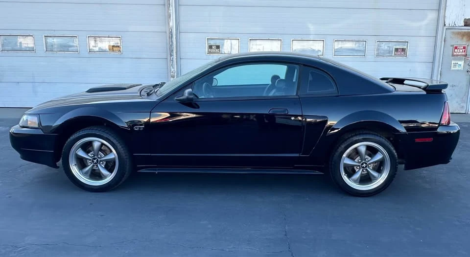 2003 Ford SN95 Mustang - Image 5 of 16