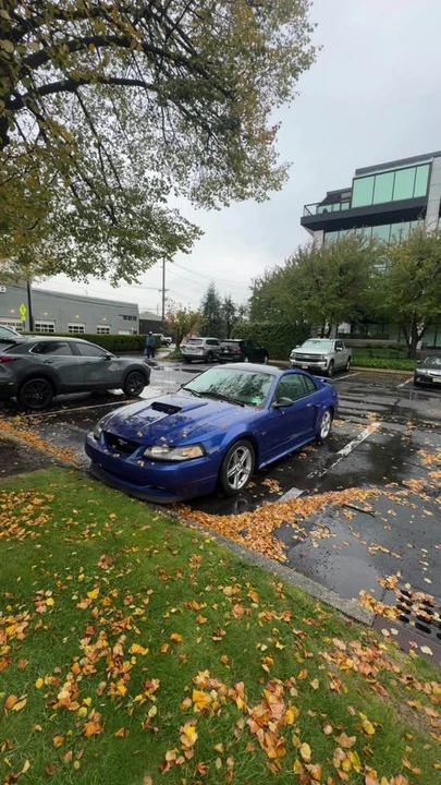 2003 Ford SN95 Mustang - Image 5 of 9