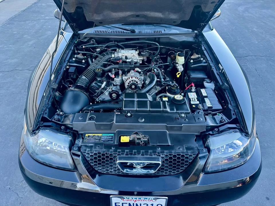 2003 Ford SN95 Mustang - Image 16 of 16
