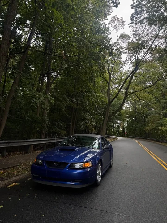 2003 Ford SN95 Mustang - Image 3 of 9