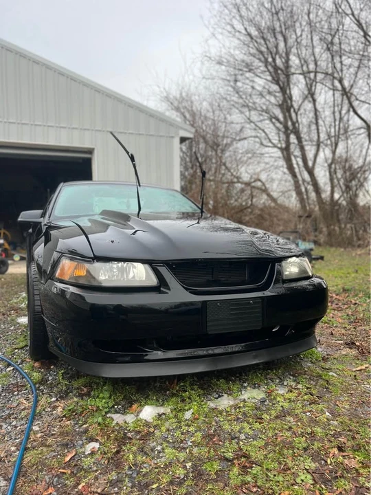 2003 Ford SN95 Mustang - Image 6 of 7