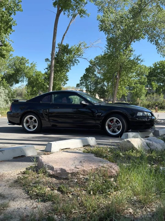 2003 Ford SN95 Mustang - Image 4 of 9