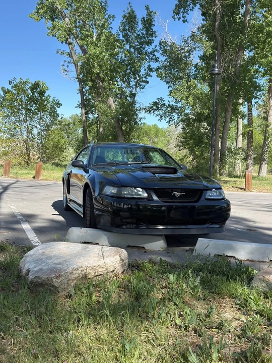 2003 Ford SN95 Mustang - Image 3 of 9