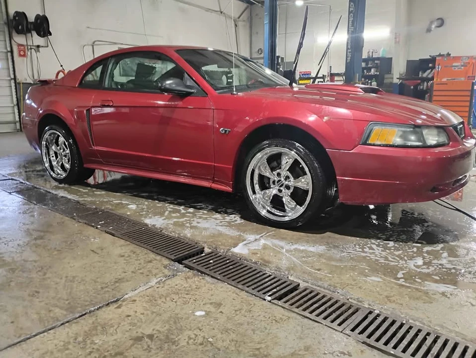 2003 Ford SN95 Mustang - Image 2 of 6