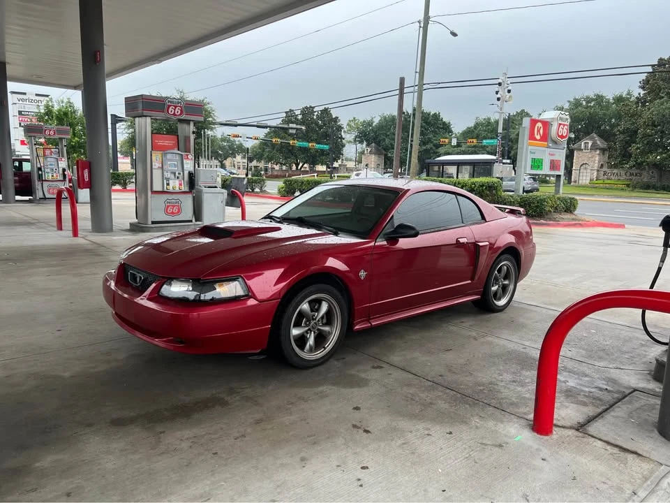 2003 Ford SN95 Mustang - Image 5 of 8