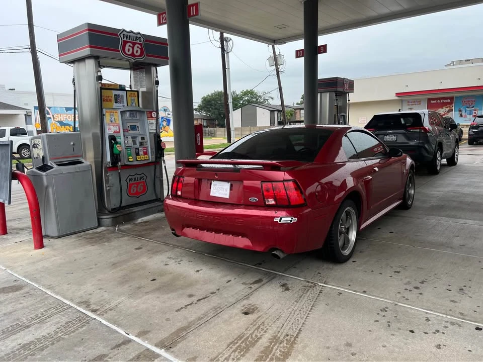2003 Ford SN95 Mustang - Image 3 of 8